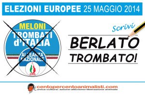 loca adesiva Berlato 10pz