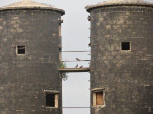 Mareno di Piave (14)