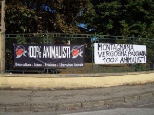 Montagnana 6 settembre 2015  (5)