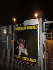 Studio De Sordi Mestre (3)