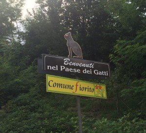 Brolo il paese dei gatti (1)