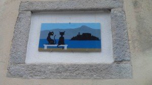 Brolo il paese dei gatti (39)