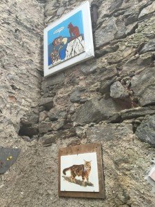 Brolo il paese dei gatti (8)