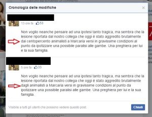 siliconata-modifiche