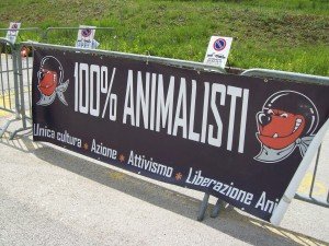 presiddio vs la fiera caccia Longarone (10)