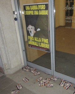 Municipio Cittadella (4)