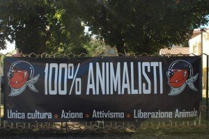 palio di Montagnana (11)