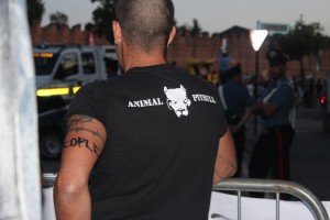 palio di Montagnana (59)