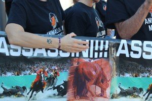 palio di Montagnana (6)