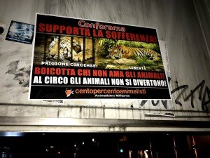 blitz vs Conforama (12)