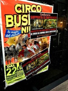 blitz vs Conforama (14)